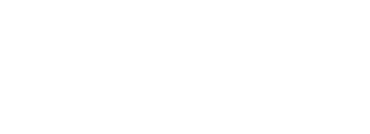 De Nora